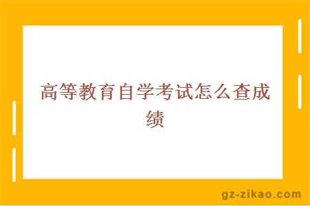 高等教育自学考试怎么查成绩