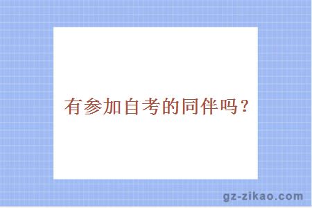 有参加自考的同伴吗？