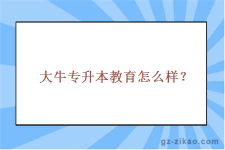 大牛专升本教育怎么样？