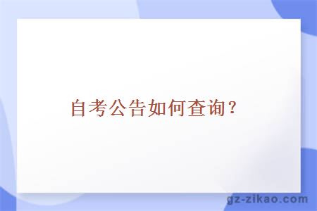 自考公告如何查询？