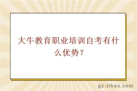 大牛教育职业培训自考有什么优势？