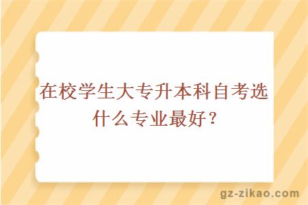 在校学生大专升本科自考选什么专业最好？