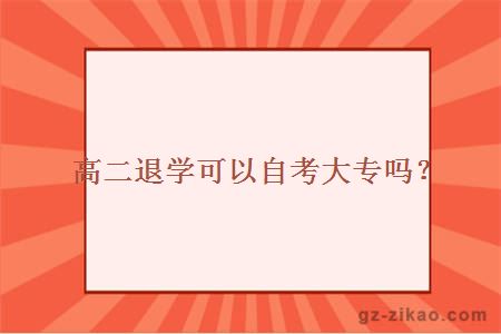 高二退学可以自考大专吗？