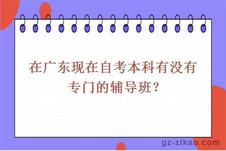 在广东现在自考本科有没有专门的辅导班？