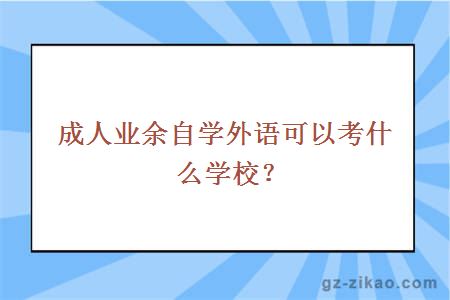 成人业余自学外语可以考什么学校？