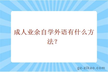 成人业余自学外语有什么方法？