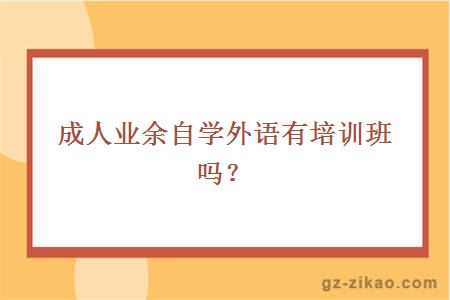 成人业余自学外语有培训班吗？