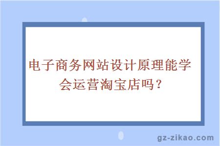 电子商务网站设计原理能学会运营淘宝店吗？