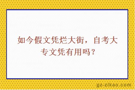 如今假文凭烂大街，自考大专文凭有用吗？