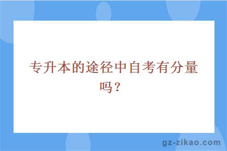 专升本的途径中自考有分量吗？