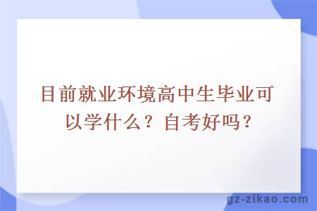 目前就业环境高中生毕业可以学什么？自考好吗？