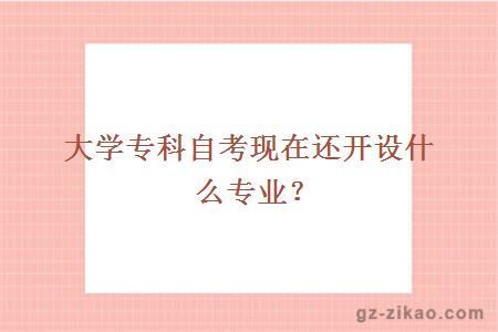 大学专科自考现在还开设什么专业？