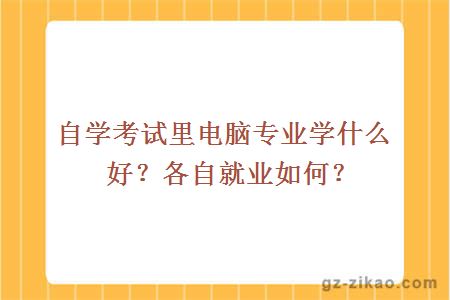 自学考试里电脑专业学什么好？各自就业如何？