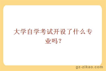 大学自学考试开设了什么专业吗？