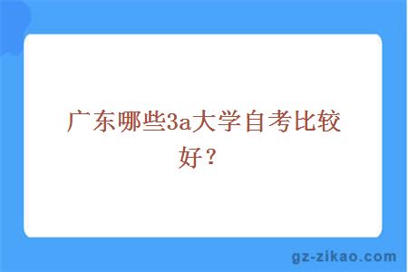 广东哪些3a大学自考比较好？