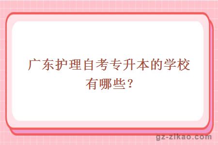 广东护理自考专升本的学校有哪些？