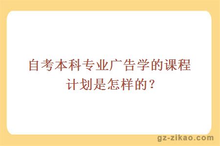 自考本科专业广告学的课程计划是怎样的？