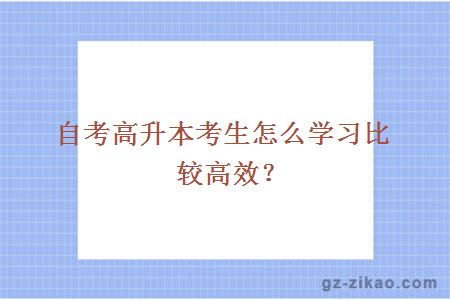 自考高升本考生怎么学习比较高效？