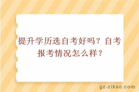 提升学历选自考好吗？自考报考情况怎么样？