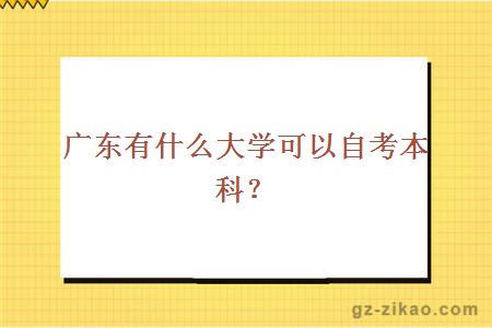 广东有什么大学可以自考本科？