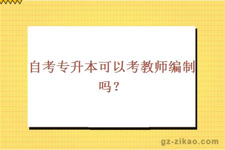 自考专升本可以考教师编制吗？