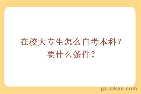 在校大专生怎么自考本科？要什么条件？