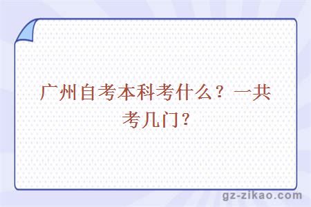 广州自考本科考什么？一共考几门？