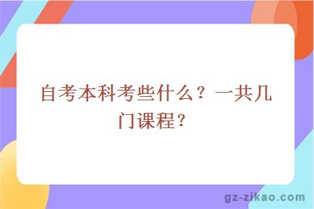 自考本科考些什么？一共几门课程？