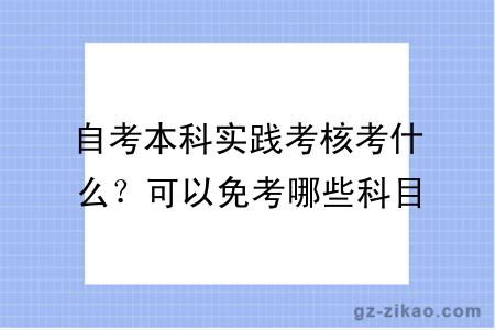 自考本科实践考核考什么？可以免考哪些科目