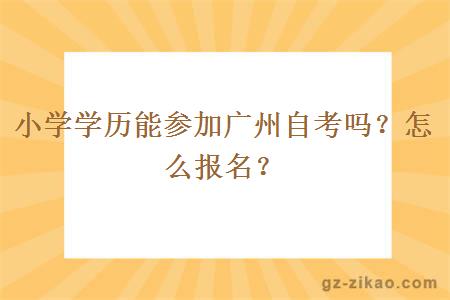 小学学历能参加广州自考吗？怎么报名？